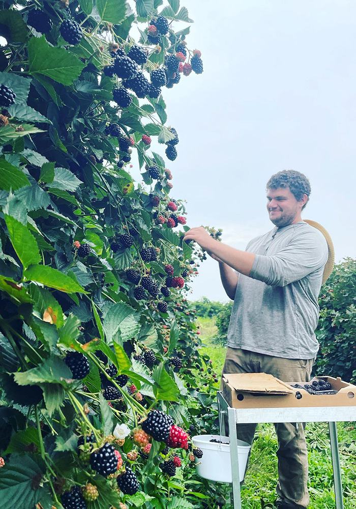 Picking Your Own Raspberries - NARBA