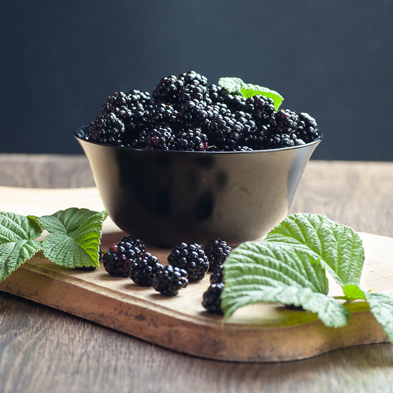 NARBA berry facts picking blackberries bowl on counter