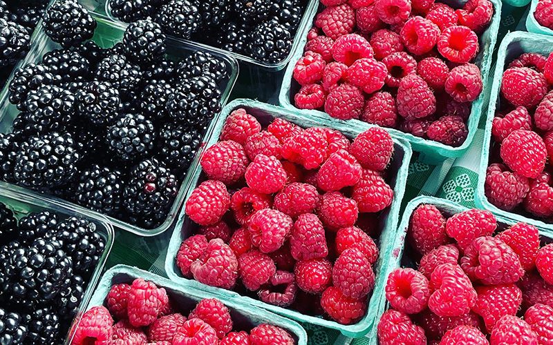 NARBA growers production market pricing fresh berries