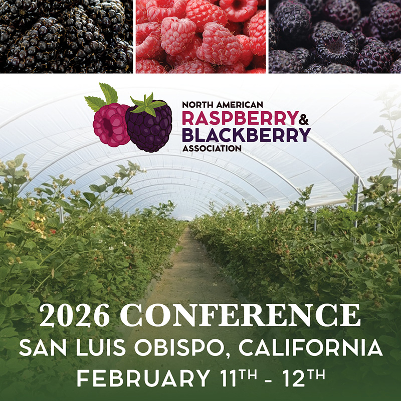 2026 NARBA Conference Promo Graphic