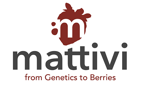2026 NARBA Conference Berry Sponsor Mattivi Logo